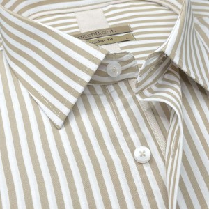 Life Style Butiken Ανδρικό Μακρυμάνικο πουκάμισο ριγέ Regular Fit LS124359 Μπεζ