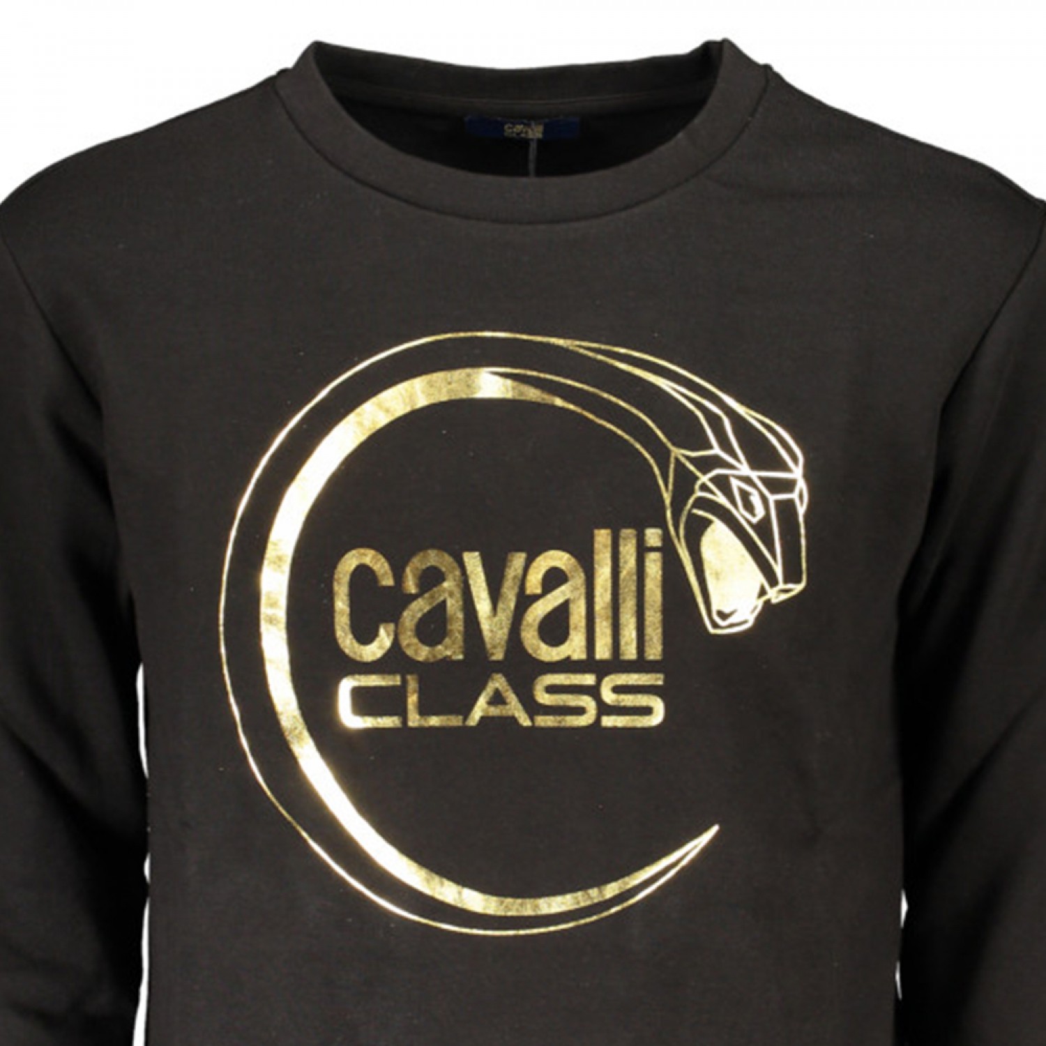 CAVALLI CLASS Ανδρική Μακρυμάνικη Μπλούζα Φούτερ Κανονική Εφαρμογή RXT65ACF062_NE05051 Black