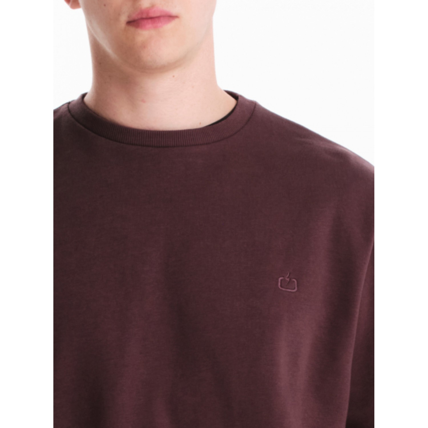 EMERSON ΑΝΔΡΙΚΟ ΦΟΥΤΕΡ 242.EM20.97 PLUM