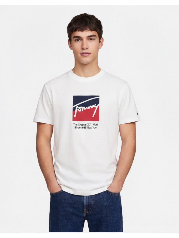 Tommy Hilfiger Ανδρική κοντομάνικη μπλούζα DM0DM21940_BIYBL