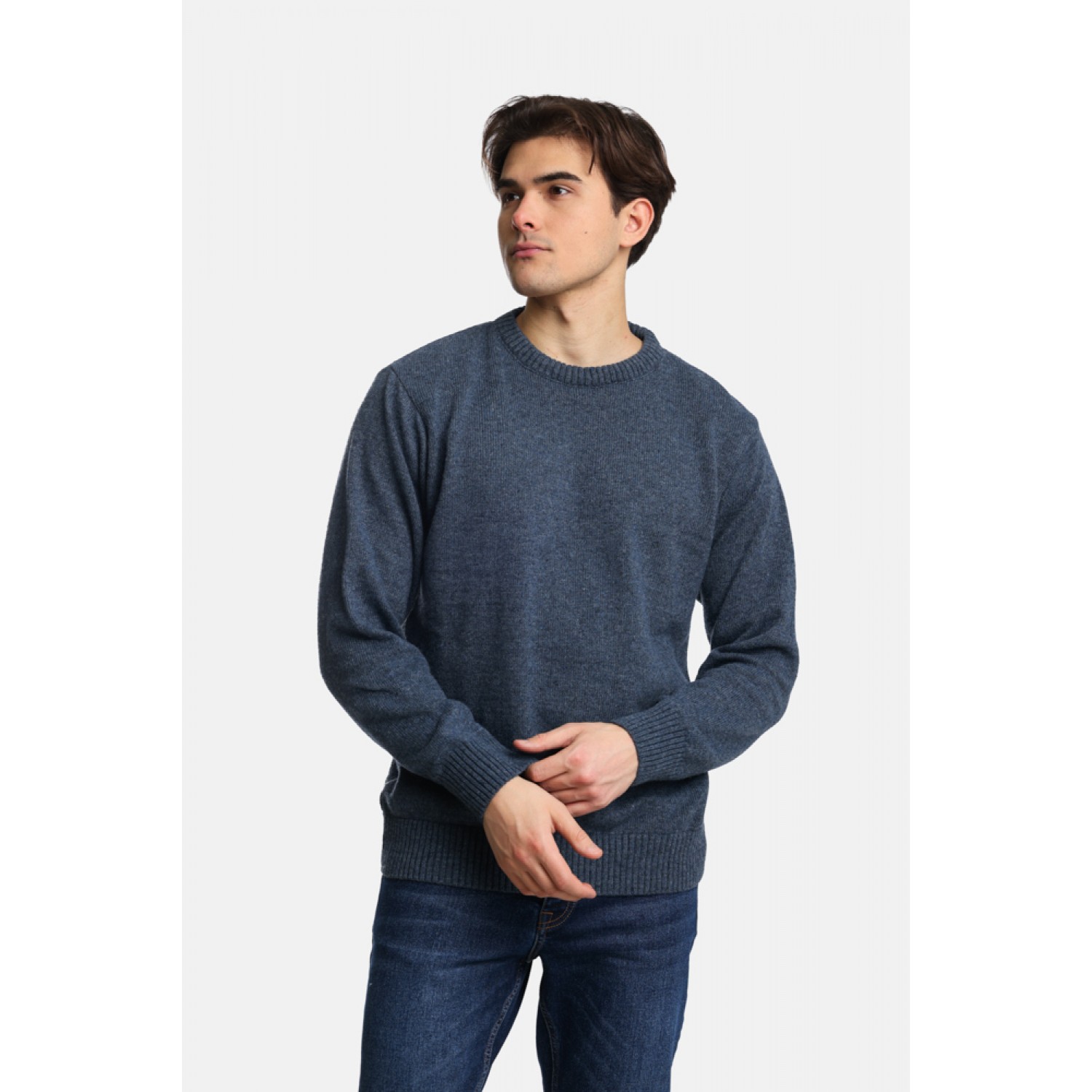 Life Style Butiken Ανδρικό Πουλόβερ Με Στρογγυλή Λαιμόκοψη LS2498007 Navy Κανονική Εφαρμογή