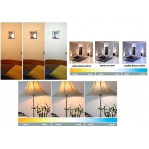 10Χ Λαμπτήρες Led E27 A60 12W Large Screw Attack (A60-12W) Ψυχρό 6400Κ 960Lm