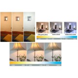 10Χ Λαμπτήρες Led E27 A60 12W Large Screw Attack (A60-12W) Θερμό 3000Κ 960Lm 4