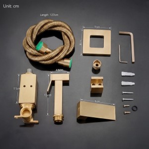 NARON Σετ Μπιντέ Εντοιχισμού με Ντουζάκι shut-off NR5530 BRUSHED GOLD