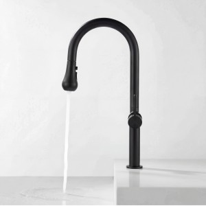 NARON Ψηλή Μπαταρία κουζίνας με αποσπώμενο επεκτεινόμενο ντουζ NR1310 Black Mat