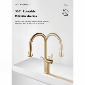 NARON Ψηλή Μπαταρία κουζίνας με αποσπώμενο επεκτεινόμενο ντουζ NR1310 Brushed Gold