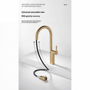 NARON Ψηλή Μπαταρία κουζίνας με αποσπώμενο επεκτεινόμενο ντουζ NR1310 Brushed Gold