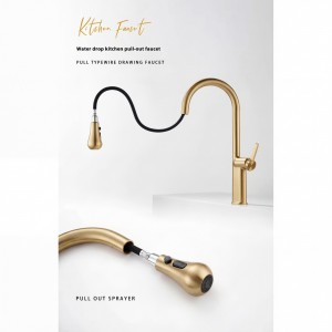 NARON Ψηλή Μπαταρία κουζίνας με αποσπώμενο επεκτεινόμενο ντουζ NR1310 Brushed Gold