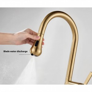 NARON Ψηλή Μπαταρία κουζίνας με αποσπώμενο επεκτεινόμενο ντουζ NR1310 Brushed Gold