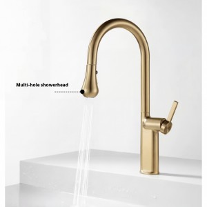 NARON Ψηλή Μπαταρία κουζίνας με αποσπώμενο επεκτεινόμενο ντουζ NR1310 Brushed Gold