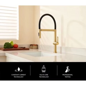 NARON Ψηλή Μπαταρία κουζίνας με αποσπώμενο ντους NR1311 Brushed Gold