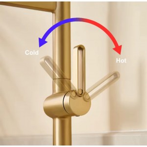 NARON Ψηλή Μπαταρία κουζίνας με αποσπώμενο ντους NR1311 Brushed Gold