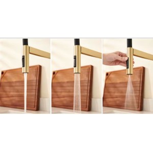 NARON Ψηλή Μπαταρία κουζίνας με αποσπώμενο ντους NR1311 Brushed Gold