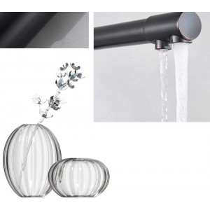 MELLRAIN Βρύση κουζίνας τρίοδη με ενσωματωμένο βρυσάκι για καθαρό νερό φίλτρου με δύο χερούλια (δεν συμπεριλαμβάνεται το φίλτρο νερού) 5-GTS BLACK BRONZE