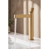 NARON Ψηλή Αναμεικτική Μπαταρία Νιπτήρα FZ5502 Brushed Gold (Ματ Χρυσό) με Knurled Λαβή 1