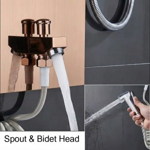 NARON Στήλη Ντουζ Υδρομασάζ Led Φωτισμό Και Ψηφιακή Οθόνη NR6220 ROSE GOLD